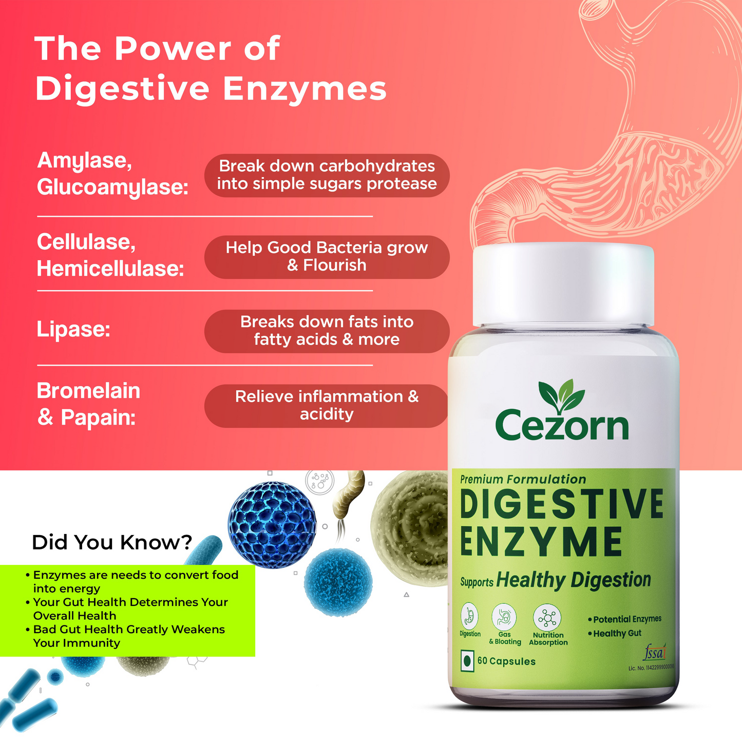 Cezorn Digestive Enzyme Capsules with Amylase, Protease, Glucoamylase | 60 Veg Capsules | Better Digestive Function, Healthy Gut & Health Management | For both Men & Women