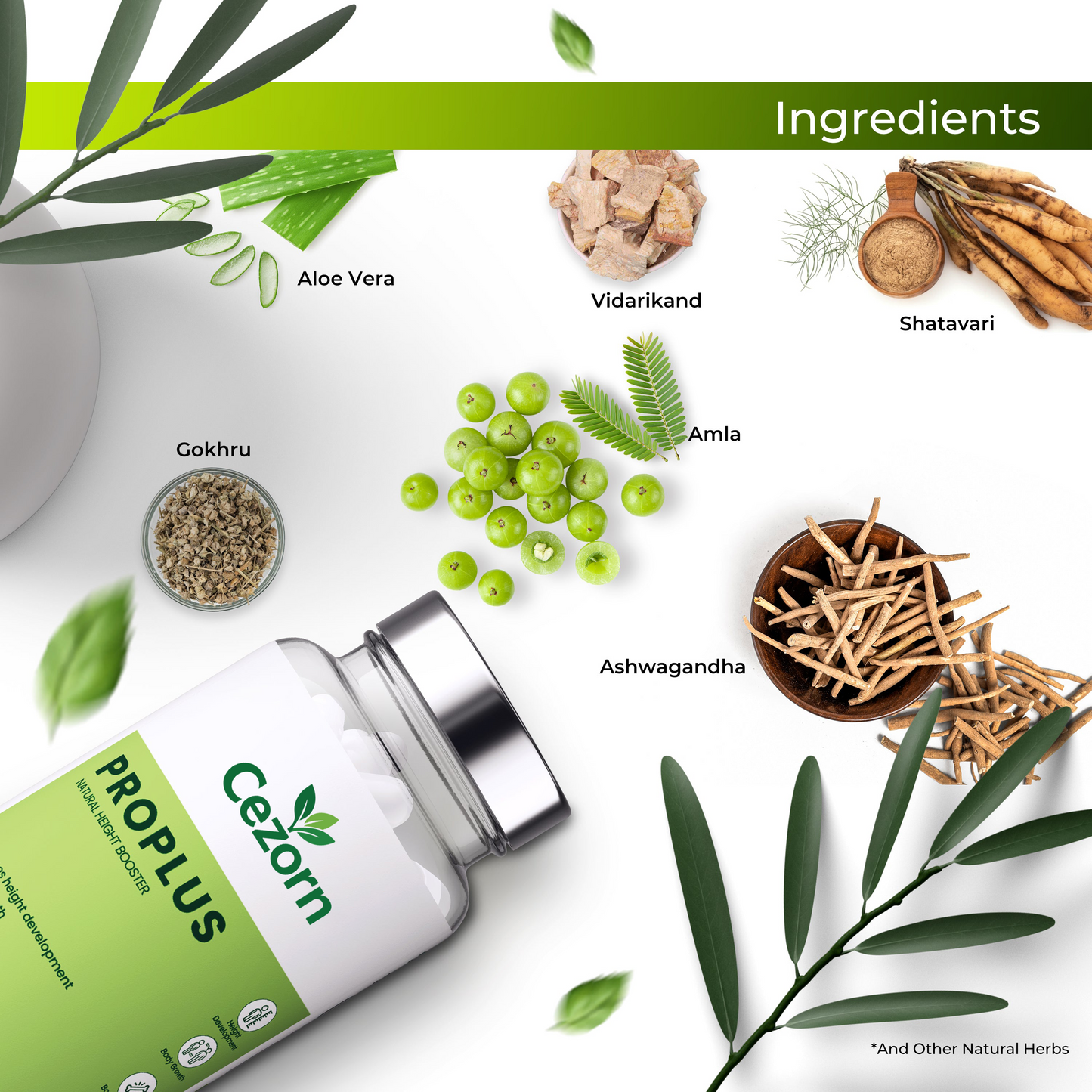 Cezorn ProPlus Capsules 500mg for Good Height & Great Personality, 60 Veg Capsules